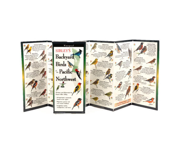 Sibley's Backyard Birds of the Pacific Northwest - YourGardenStop