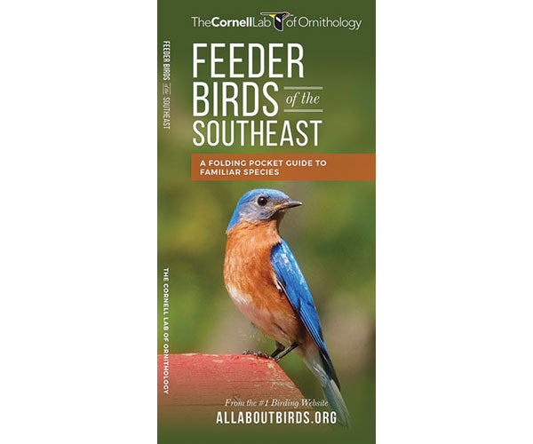 Feeder Birds of the Southeast US by Cornell Lab of Ornithology - YourGardenStop