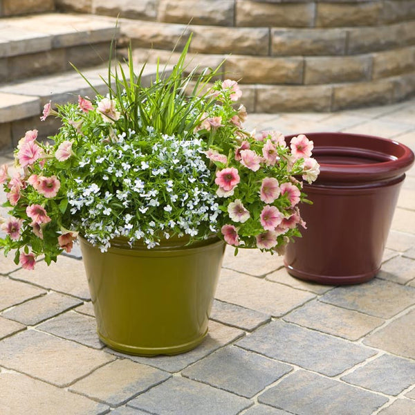Selecting a Container for Container Gardening