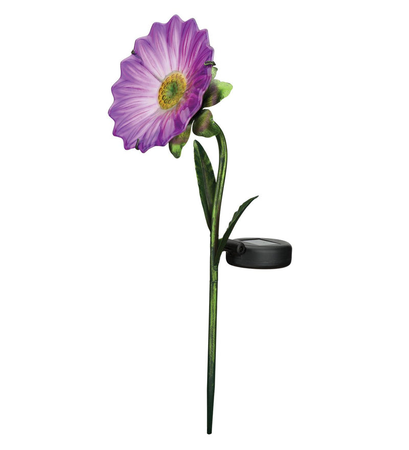 Mini Solar Daisy Stakes by Regal (Yellow, Pink or Purple) - YourGardenStop