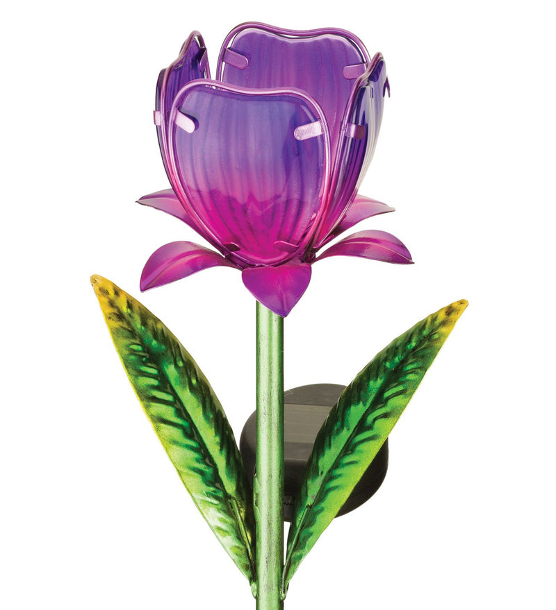 Mini Solar Garden Stakes by Regal Choose from (Pink. Purple, Yellow and Blue) - YourGardenStop