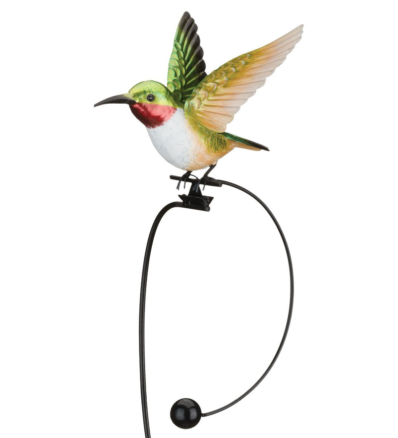 Rocker Hummingbird Stake (Rufous, Ruby Throated or Purple Coronet) - YourGardenStop