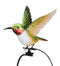 Rocker Hummingbird Stake (Rufous, Ruby Throated or Purple Coronet) - YourGardenStop