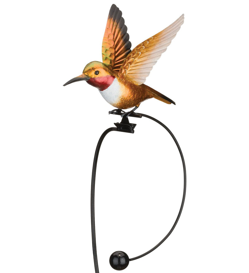 Rocker Hummingbird Stake (Rufous, Ruby Throated or Purple Coronet) - YourGardenStop