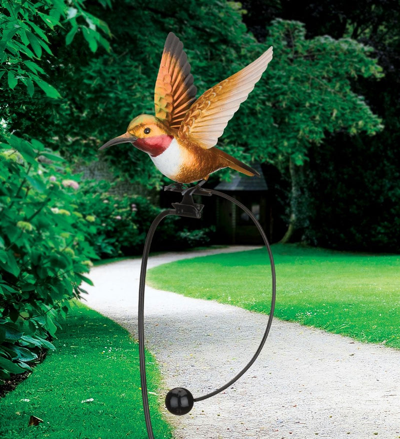 Rocker Hummingbird Stake (Rufous, Ruby Throated or Purple Coronet) - YourGardenStop