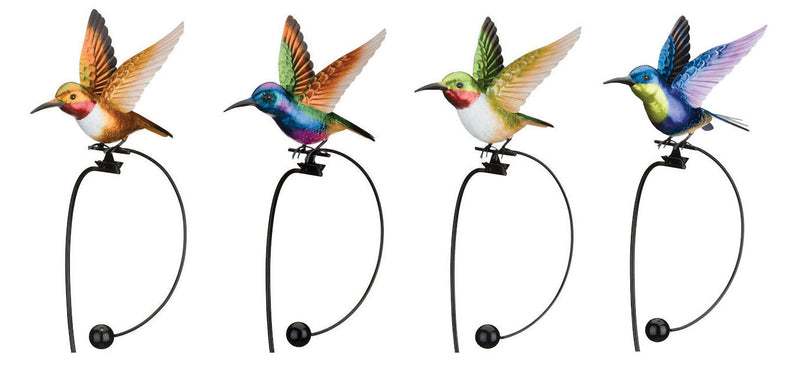 Rocker Hummingbird Stake (Rufous, Ruby Throated, Purple Coronet or Woodnymph) - YourGardenStop