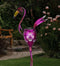 Shadow Solar Décor (Flamingo, Peacock or Heron) by Regal - YourGardenStop