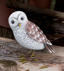 Grey Horned or Barn Owl Garden Decor by Regal - YourGardenStop