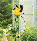 Rocker Bird Stake (Blue Bird, Cardinal, Gold Finch or Robin) - YourGardenStop