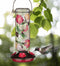 Scarlet Hummingbird Feeder (Bird, Butterfly, Dragonfly or Hummingbird) by Regal - YourGardenStop