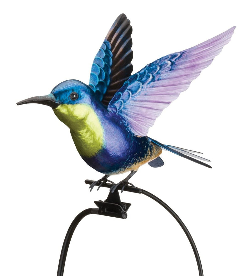 Rocker Hummingbird Stake (Rufous, Ruby Throated, Purple Coronet or Woodnymph) - YourGardenStop