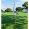 Goody Bird Stake by Regal (Flamingo, Crane, Peacock or Heron) - YourGardenStop