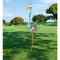 Goody Bird Stake by Regal (Flamingo, Crane, Peacock or Heron) - YourGardenStop