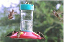 Original Dr. JB's 16oz Clean Feeder - YourGardenStop
