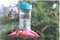 Original Dr. JB's 16oz Clean Feeder - YourGardenStop