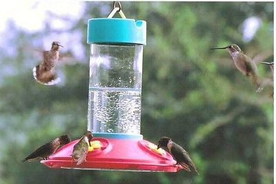 Original Dr. JB's 16oz Clean Feeder - YourGardenStop