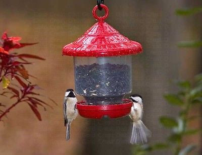 Clingers Only Bird Feeder - YourGardenStop