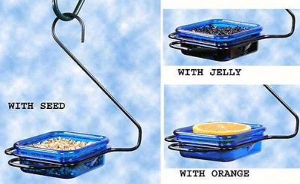Hanging Jelly & Mealworm Feeder - YourGardenStop