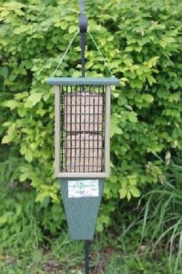 Songbird Essentials Double Suet Feeder - YourGardenStop