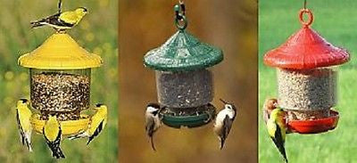 Clingers Only Bird Feeder - YourGardenStop