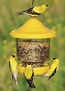 Clingers Only Bird Feeder - YourGardenStop