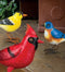 Songbird Garden Decor by Regal - YourGardenStop