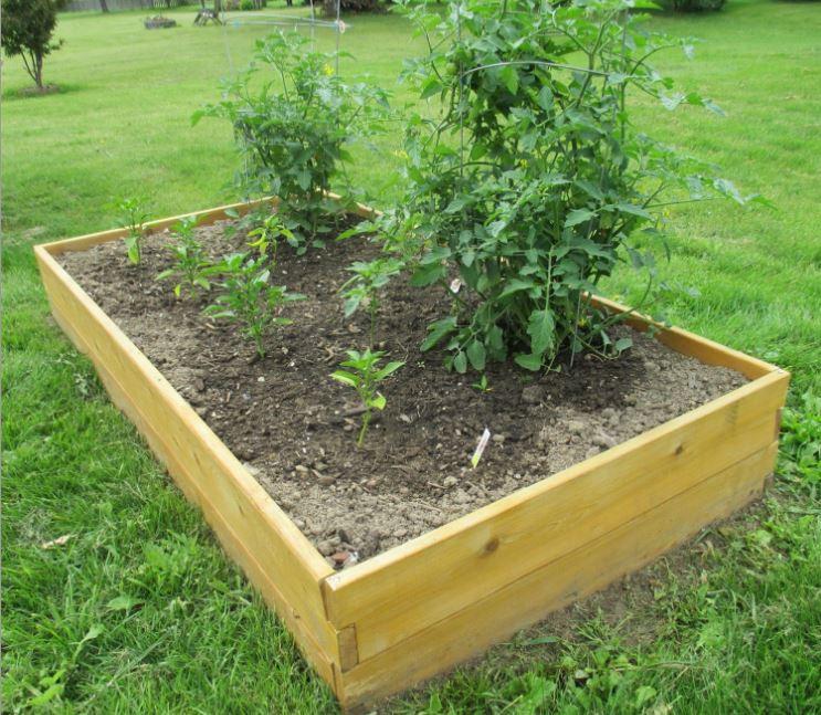Western Red Cedar 3ftx6ft Raised Garden Bed Planter Kit - YourGardenStop