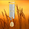 Woodstock Reflections Series Chimes - YourGardenStop