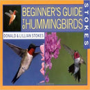 Beginners Guide to Hummingbirds - YourGardenStop