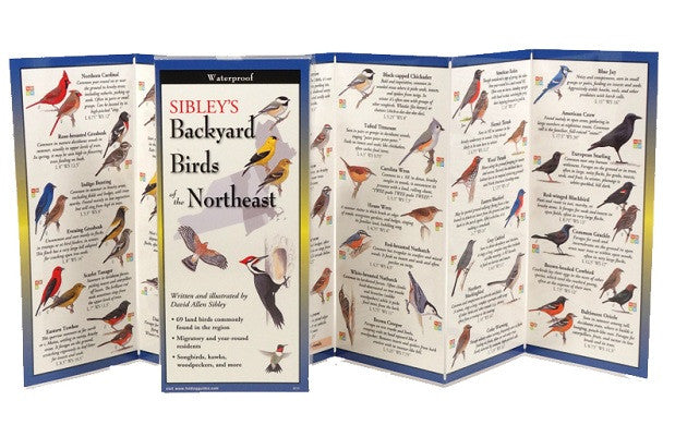 Sibley's Backyard Birds of the Northeast - YourGardenStop