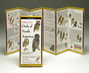 Sibley's Owls of North America - YourGardenStop