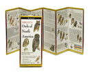 Sibley's Owls of North America - YourGardenStop
