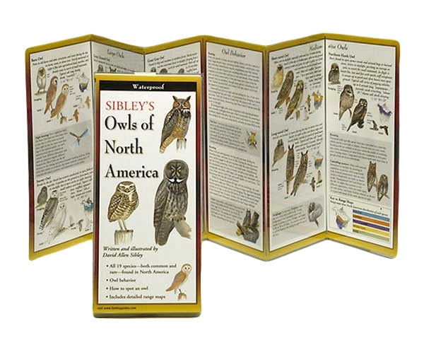 Sibley's Owls of North America - YourGardenStop