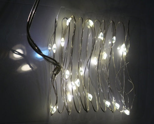 20 LED String Lights by Mark Feldstein - YourGardenStop