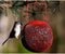 The Red Seed Ball - YourGardenStop