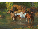 Puzzles (Variety of sizes and scenes) - YourGardenStop