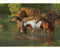 Puzzles (Variety of sizes and scenes) - YourGardenStop