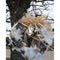 Nesting Wreath Kit by SongBird Essentials - YourGardenStop