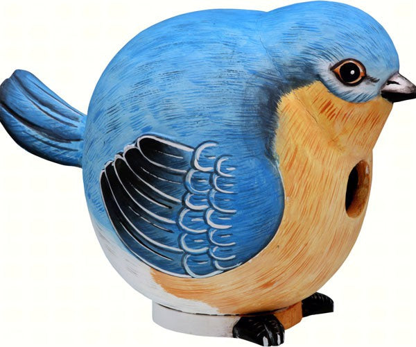 Bluebird Gord-O Birdhouse by Songbird Essentials - YourGardenStop