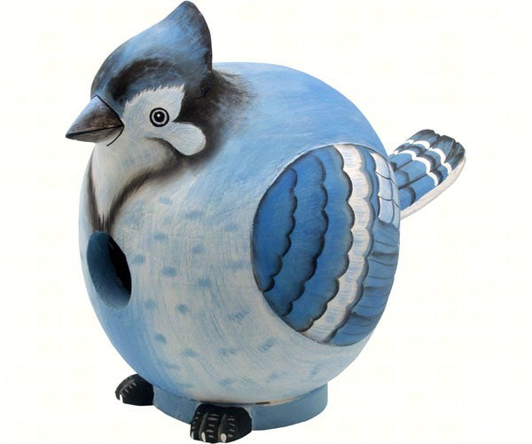 Blue Jay Gord-O Birdhouse by Songbird Essentials - YourGardenStop