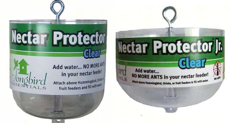 Hummingbird Nectar Protectors (Various Sizes) - YourGardenStop
