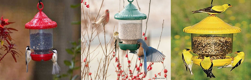 Clingers Only Bird Feeder - YourGardenStop