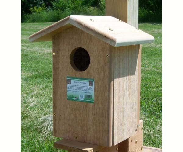 Screech Owl House by Songbird Essentials - YourGardenStop