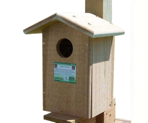 Screech Owl House by Songbird Essentials - YourGardenStop