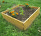 Cedar Wood 3 Ft x 3 Ft x 11 inch Raised Garden Bed Kit Made in USA - YourGardenStop