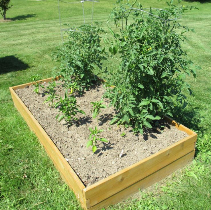 Cedar Wood 3 Ft x 3 Ft x 11 inch Raised Garden Bed Kit Made in USA - YourGardenStop