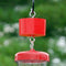 Trap-It-Ant Trap - YourGardenStop