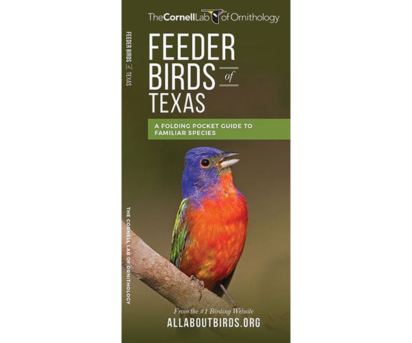 Feeder Birds of Texas by Cornell Lab of Ornithology - YourGardenStop