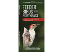 Feeder Birds of the Northeast US by Cornell Lab of Ornithology - YourGardenStop
