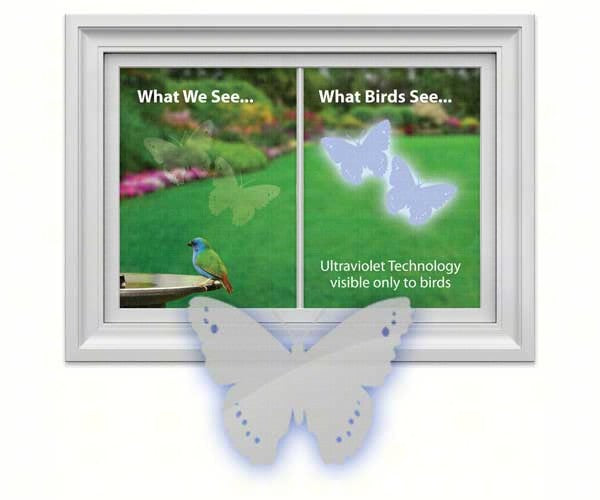 Butterfly Decal (4 per package) by Window Alert - YourGardenStop
